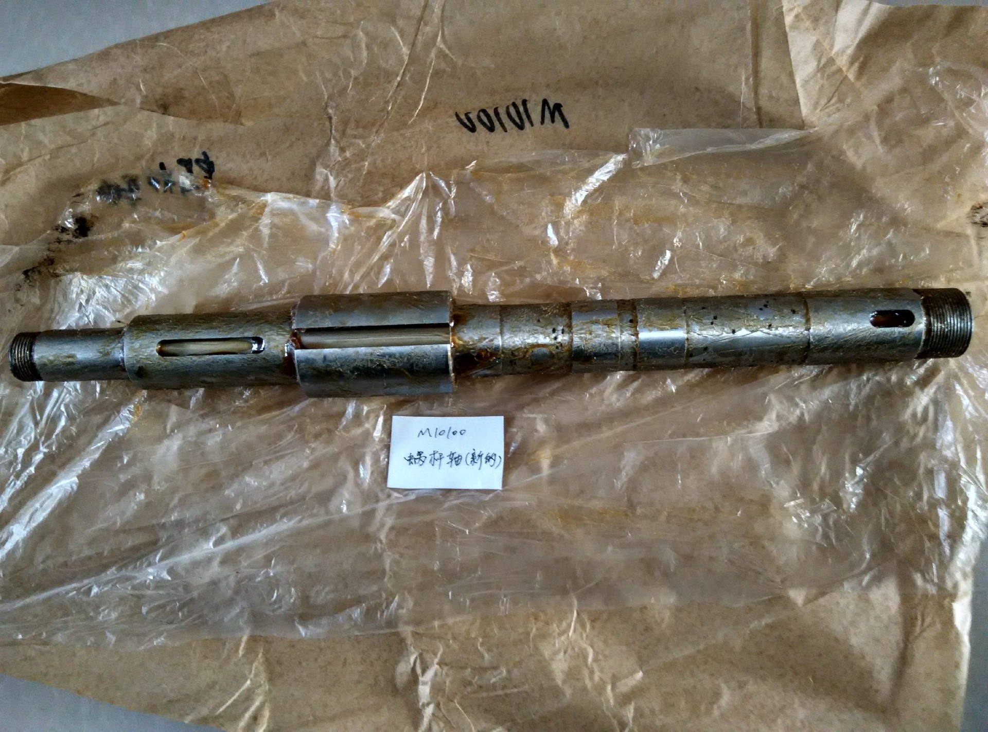M10100蜗杆轴_proc.jpg